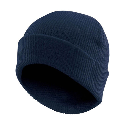 BTV-1_-_Image