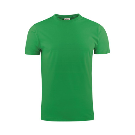 Fresh Green Fresh Green