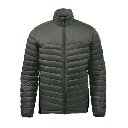 Spruce / Mallard