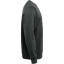 CFW-1-CARH-2XL_-_Image_Alt