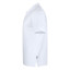 JH201-WH-2XL_-_Image_Alt