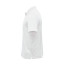 PSX-4M-WH-2XL_-_Image_Alt