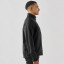 SHX-2M_-_Image